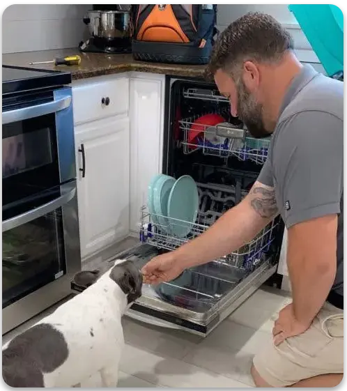 dishwasher3